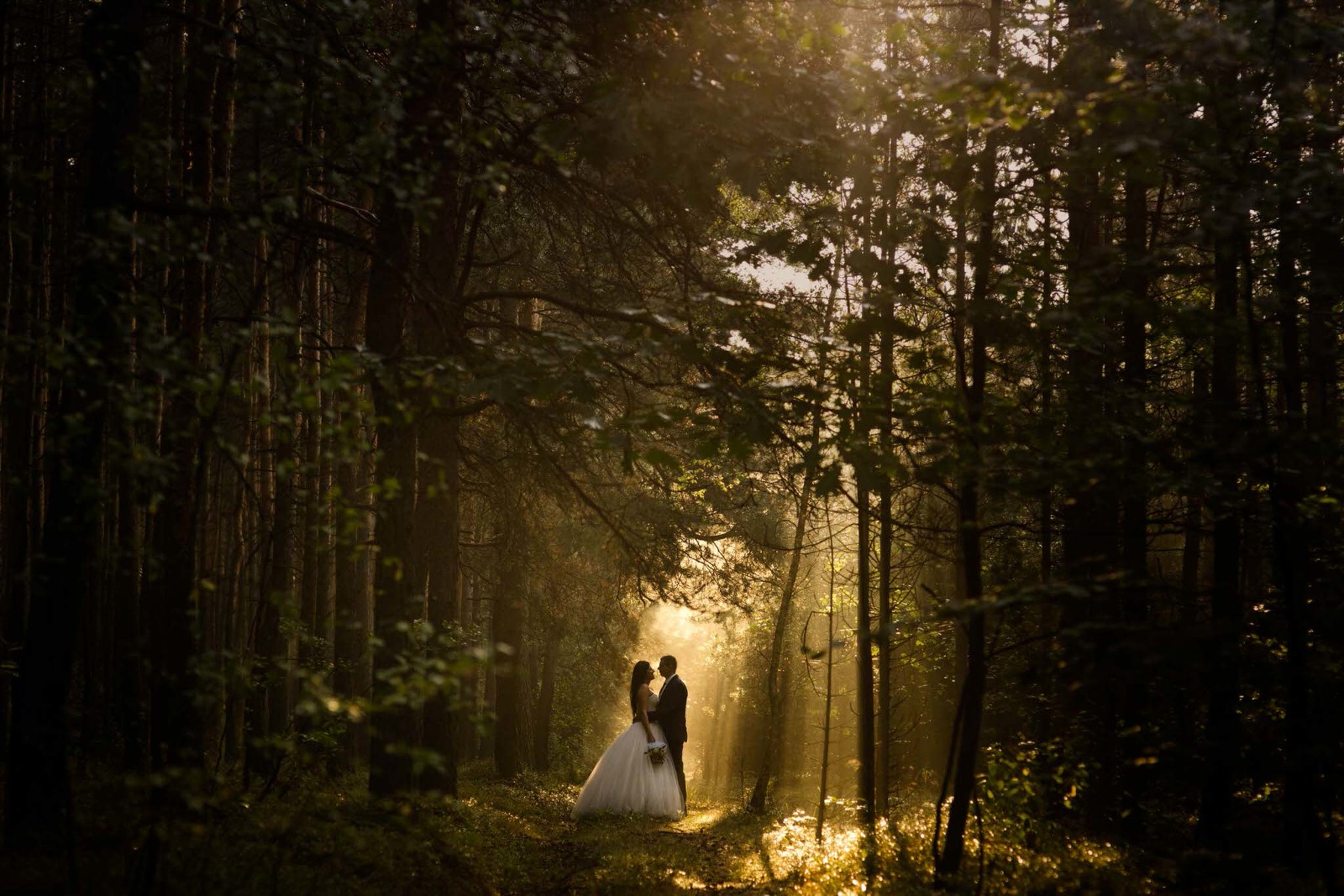 FOTOGRAFIA ŚLUBNA LANGERS